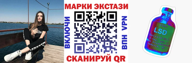Купить закладки  Елизово  Марки NBOMe 1,8мг 