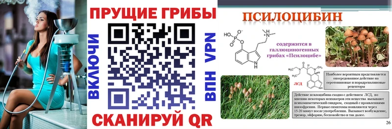 Галлюциногенные грибы GOLDEN TEACHER  Купить  Елизово 